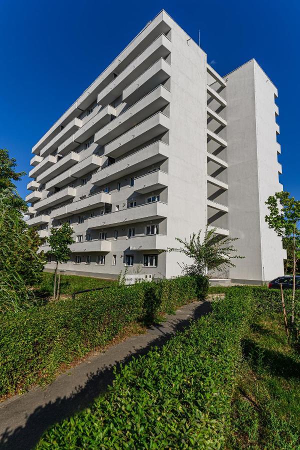 Koa - Pandora Apartments Braşov Esterno foto